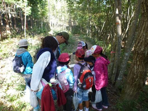 森の中の道で子供たちと大人2人が円のように集まっている写真